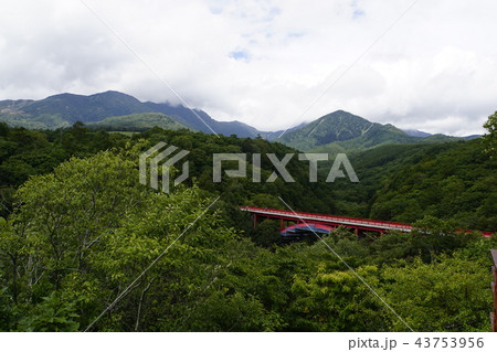 東沢大橋　清里　八ヶ岳 43753956