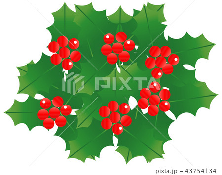 セイヨウヒイラギ2 壁紙 43754134