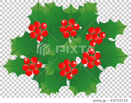 セイヨウヒイラギ2 壁紙 43754134