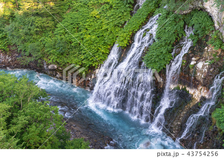 しらひげの滝 夏 しらひげの滝 夏 43754256