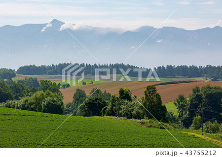 十勝岳と美瑛の風景 夏 十勝岳と美瑛の風景 夏 43755212