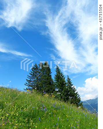 ミューレンの空に拡がった羽根雲 43755504