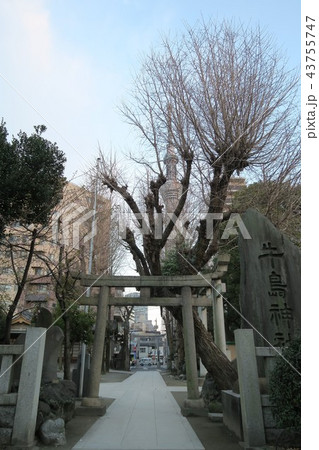 牛島神社 43755747