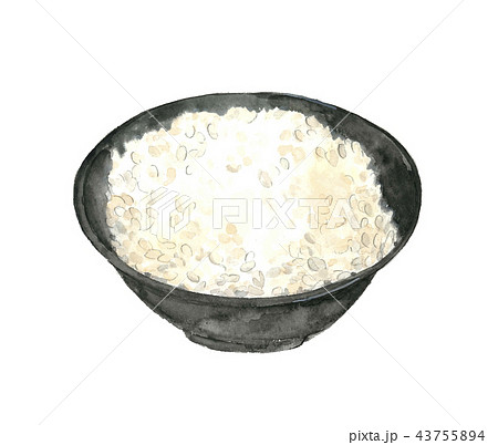 白米 炊きたてご飯のイラスト素材