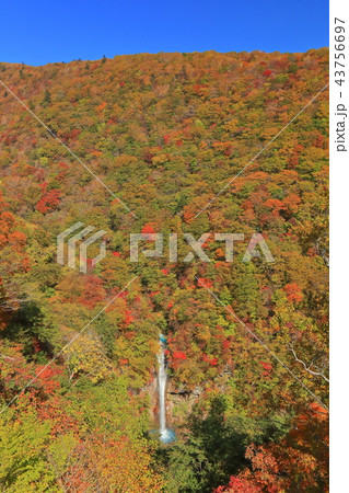 紅葉の駒止の滝 紅葉の駒止の滝 43756697