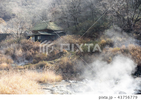 秋田県乳頭温泉郷最奥の黒湯温泉ブナ林に囲まれた静寂の源泉地帯山の湯渓流のせせらぎがこだまする湯治場 43756779