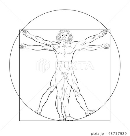Vitruvian man or homo vitruviano 43757929