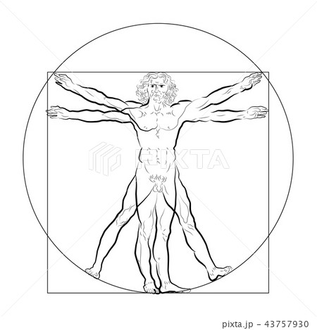 Vitruvian man or homo vitruviano 43757930