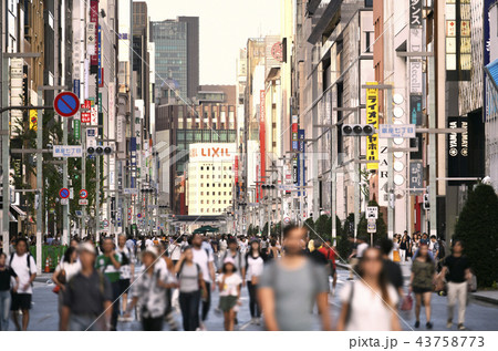日本の東京都市景観　銀座の街並みを望む（歩行者天国） 43758773