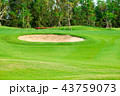 Sand bunkers and green golf field  43759073