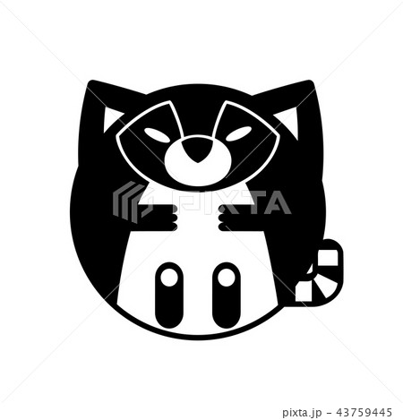 Raccoon Solid illustration Raccoon Solid illustration 43759445