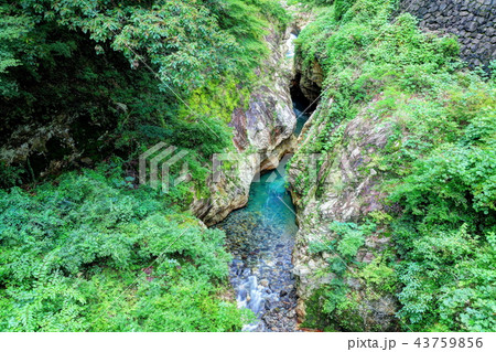 蝉の渓谷 43759856