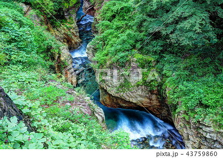 蝉の渓谷 43759860