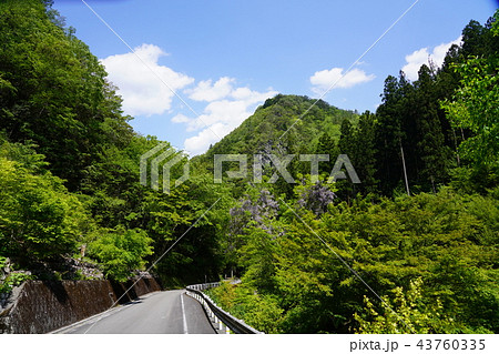 新緑のドライブコース 43760335