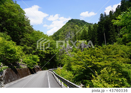 新緑のドライブコース 43760336