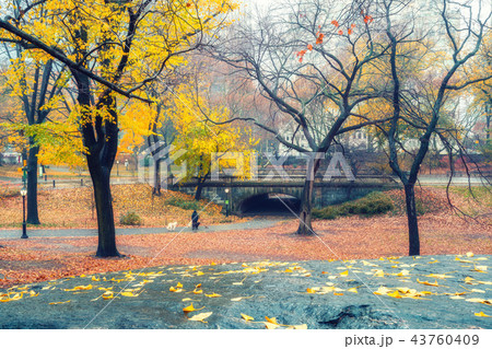 NY Central park at rainy day NY Central park at rainy day 43760409