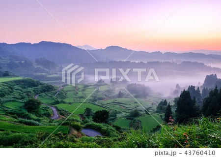星峠の棚田 (朝景) 星峠の棚田 (朝景) 43760410