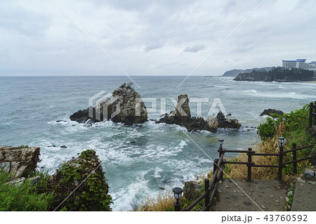 岩 石 グー 43760592