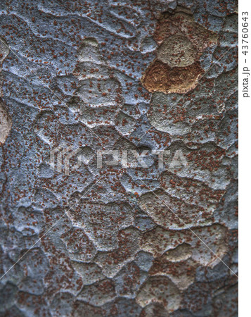 報恩郡 忠清北道 国立公園 43760643