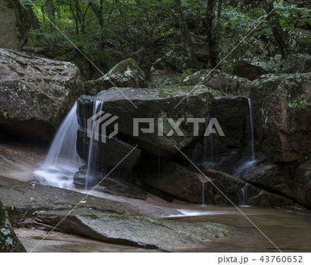 報恩郡 忠清北道 国立公園 43760652