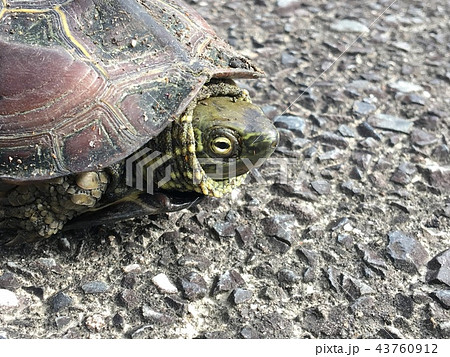 危機感 危機感 43760912