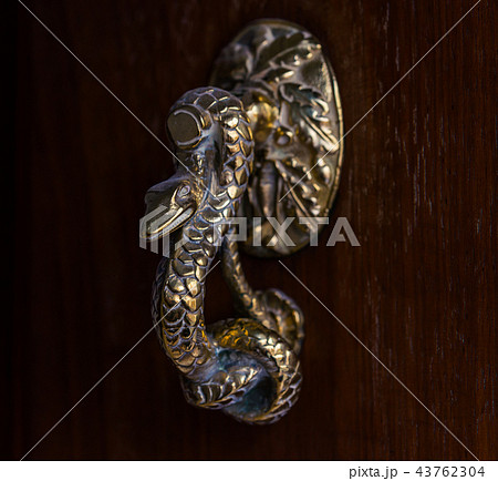 Door with brass knocker in the shape of a snake 43762304