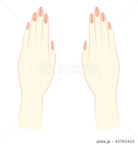 ボディーパーツ　女性の手 43763433