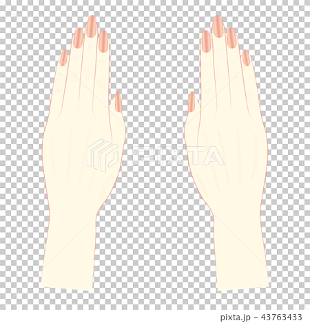 ボディーパーツ　女性の手 43763433