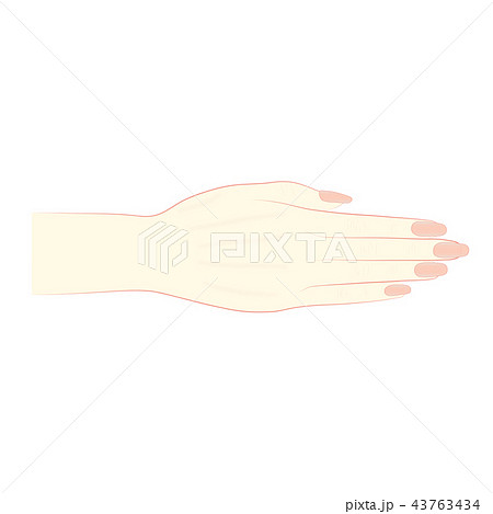 ボディーパーツ　女性の手 43763434
