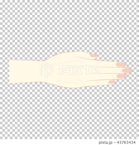 ボディーパーツ　女性の手 43763434