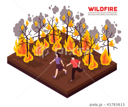 Wildfire Isometric Illustration Wildfire Isometric Illustration 43763613