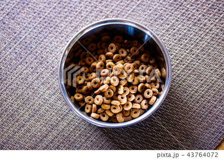 ネコのごはん・ドライフード 43764072