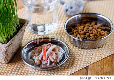 ネコのごはん 43764194