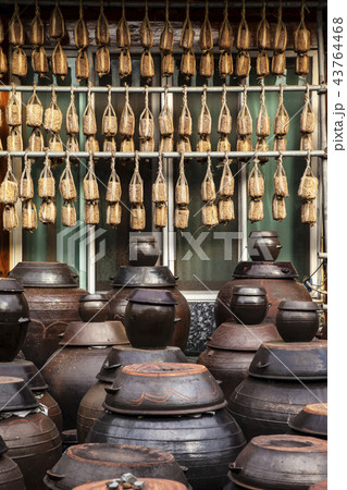 味噌 コチュジャン 韓国 43764468