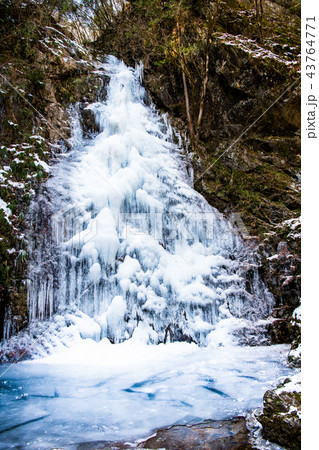 東京檜原村 払沢の滝 全面結氷 43764771