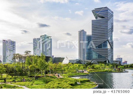 ビル 高層ビル 公園 43765060