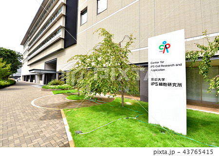 京都大学iPS細胞研究所　京都大学吉田キャンパス　医学部・病院・薬学部構内 43765415