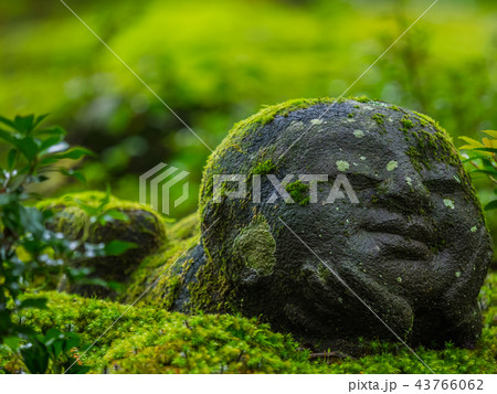 京都大原三千院 43766062