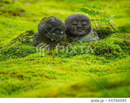 京都大原三千院 京都大原三千院 43766095
