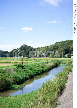 田園風景 田園風景 43767071