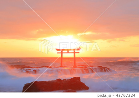大洗磯前神社の日の出 大洗磯前神社の日の出 43767224