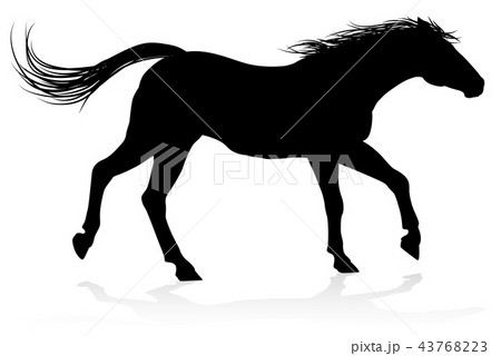 Horse Animal Silhouette 43768223