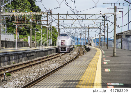 【伊豆クレイル　651系】 43768299