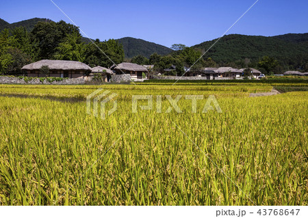 秋 空 丸屋 43768647