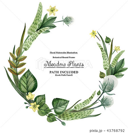 Wreaths from meadow plants for decoration Wreaths from meadow plants for decoration 43768792