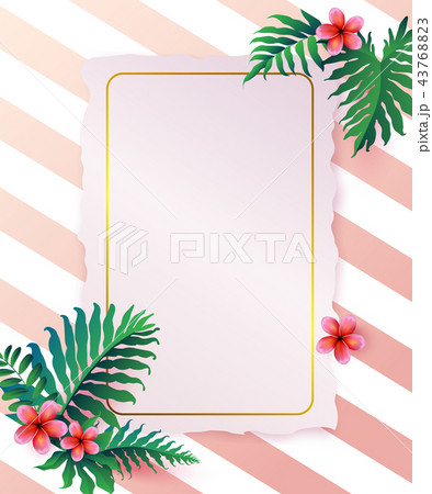 Pink Plumaria flower with copy space, Summertime. Pink Plumaria flower with copy space, Summertime. 43768823
