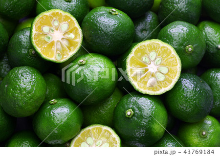 シークヮーサー 43769184