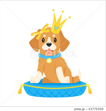 dog character in golden crown dog character in golden crown 43770309