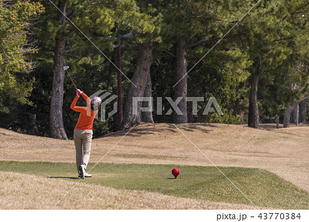 女性ゴルファー　ティーショット　プレイイメージ　イメージ素材 43770384