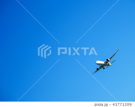 飛行機 青空 飛行機 青空 43771209